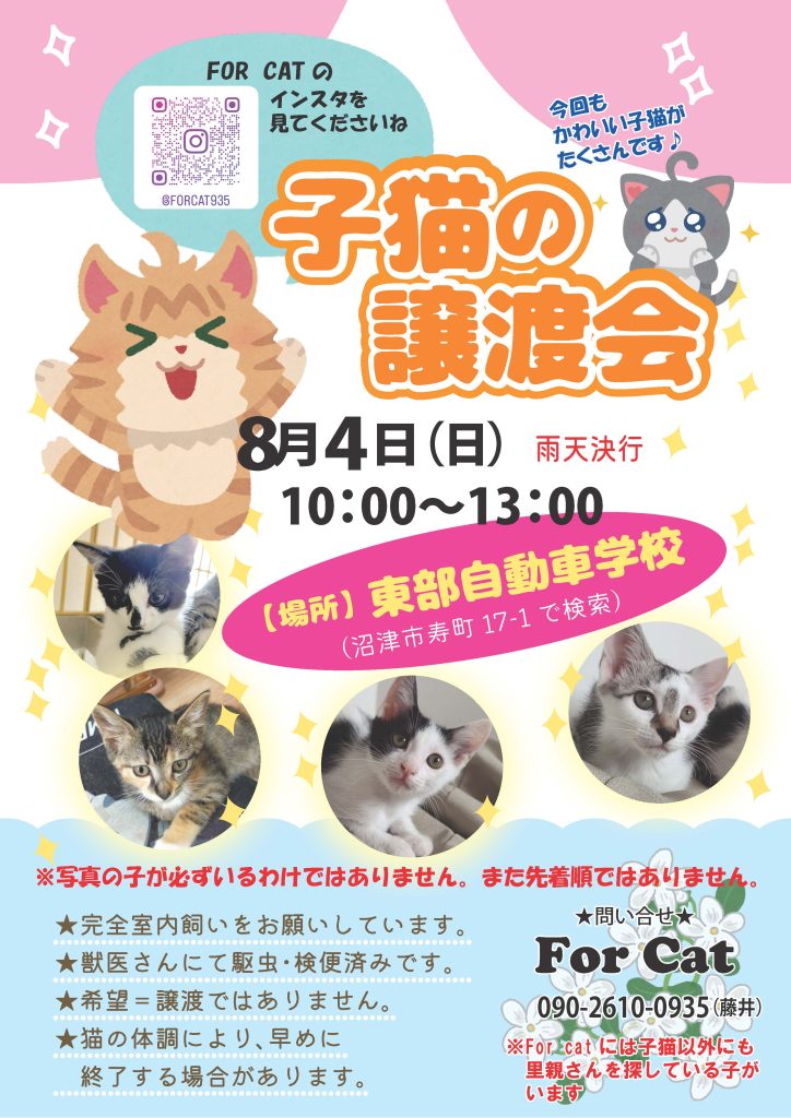 子猫の譲渡会 東部自動車学校 沼津 静岡