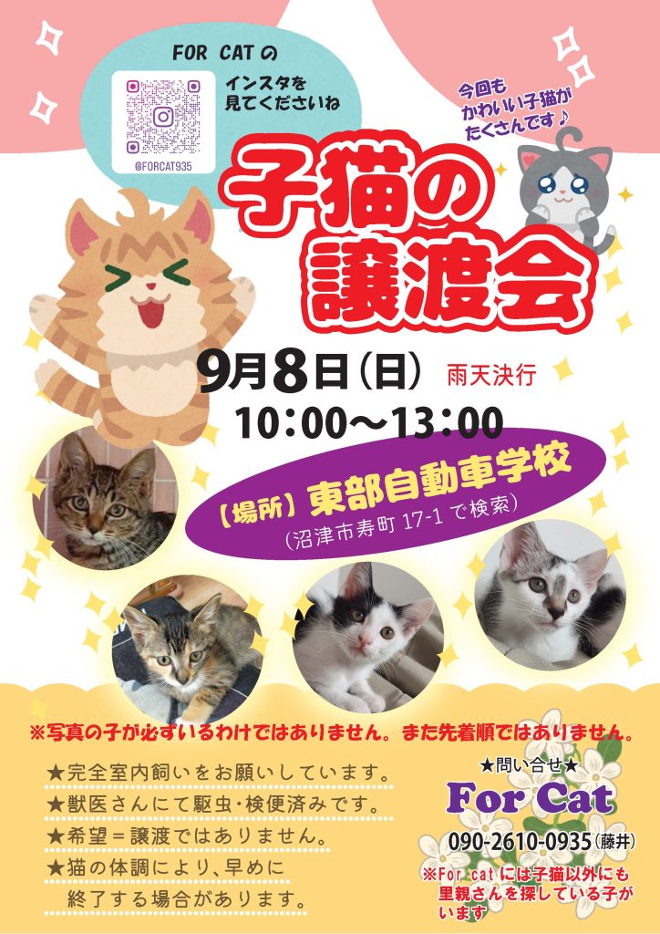 子猫の譲渡会 里親 東部自動車学校 教習所 沼津 猫 For Cat 雨天決行