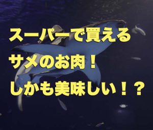 モウカザメ サメ サムネ 食用 肉 東部自動車学校 静岡沼津ドローンスクール 教習所 免許