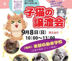 240908_保護猫譲渡会 アイキャッチ 東部自動車学校 沼津 猫 教習所 里親